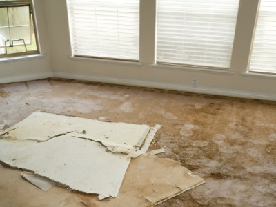 Water damage restoration in Lakeland by Drywizard Drywall Services Inc.